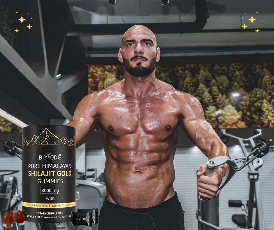 SHILAJIT PREMIUM